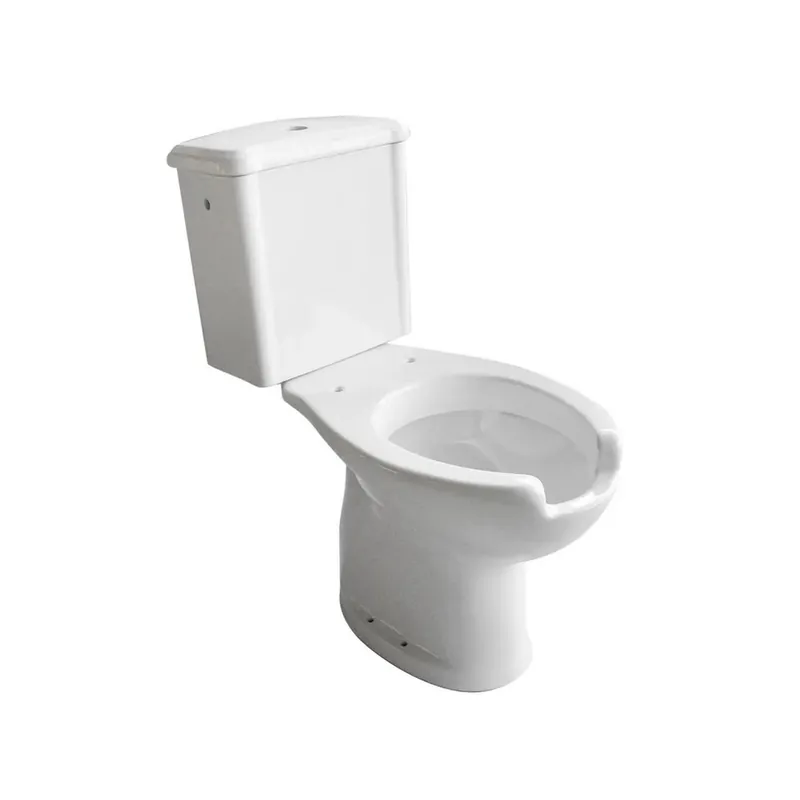Vaso monoblocco per disabili con cassetta scarico a muro
