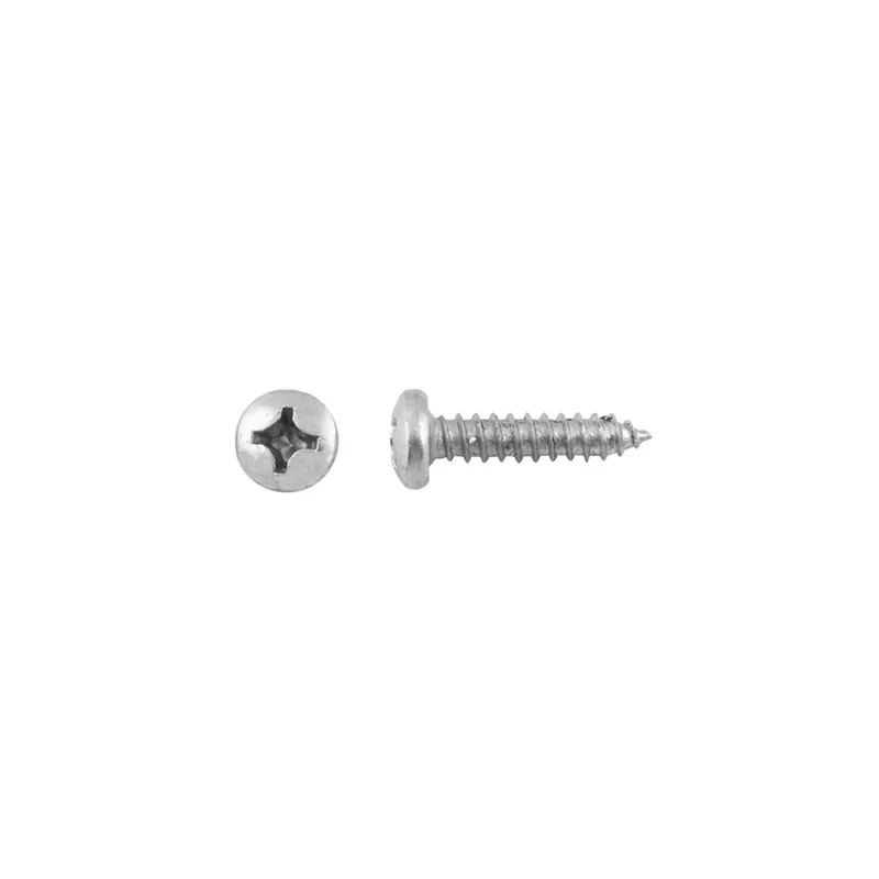 Vite ferro autofilettante testa bombata ph din7981 inox mm 4,8x25mm