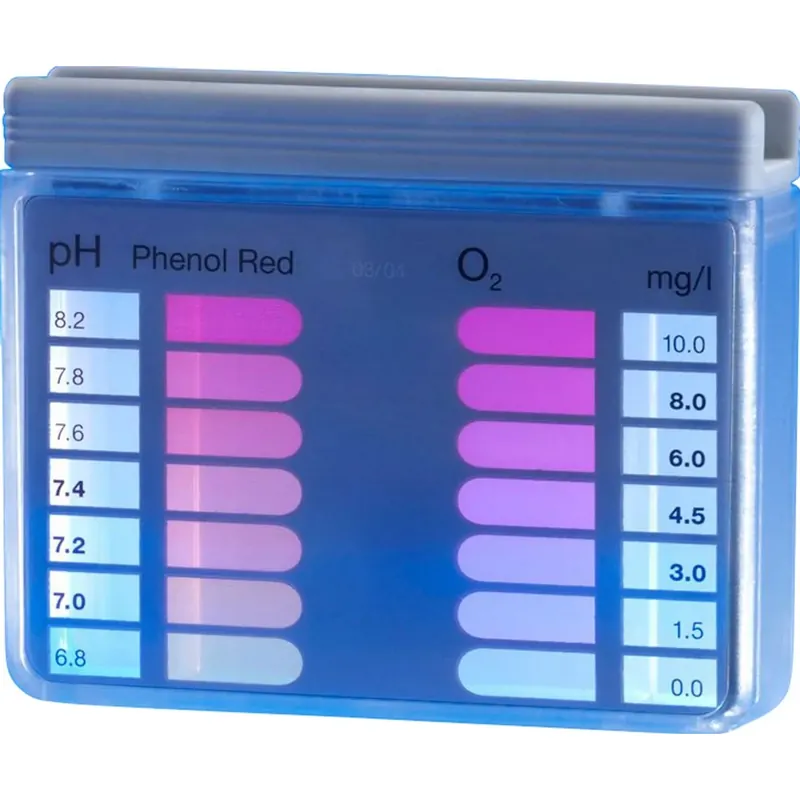 Dispositivo test acqua Summer Fun ossigeno/pH 2x20 compresse