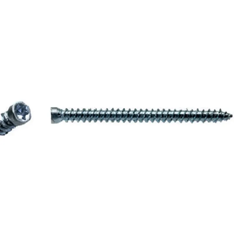 Vite Autofilettante per Infissi GETO Muratura Testa Cilindrica 5x62 100 pz