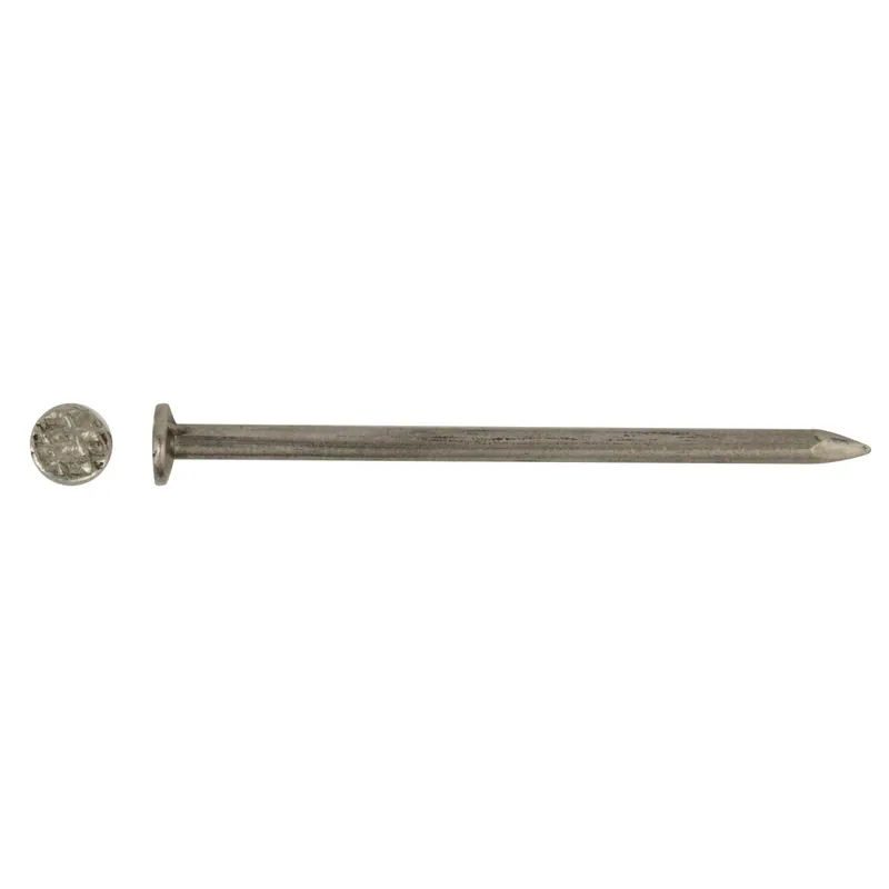 Chiodo testa piana ferro lucido 2,2x40 mm 40 pz