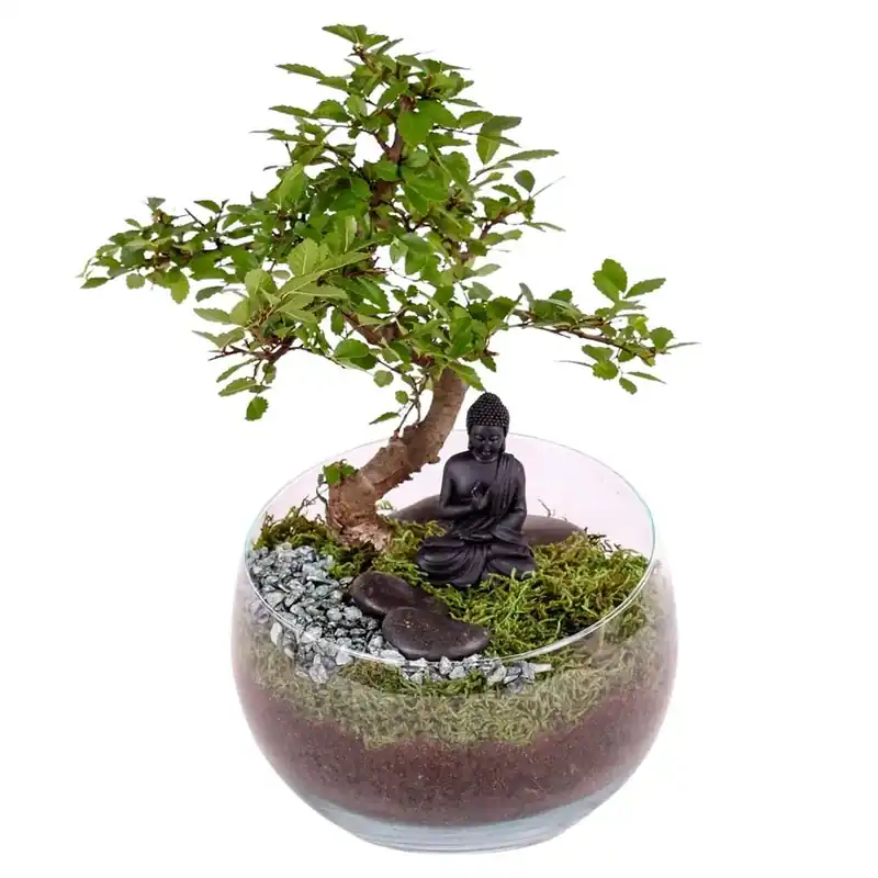 Composiz. Bottiglia Verde vaso 19 cm