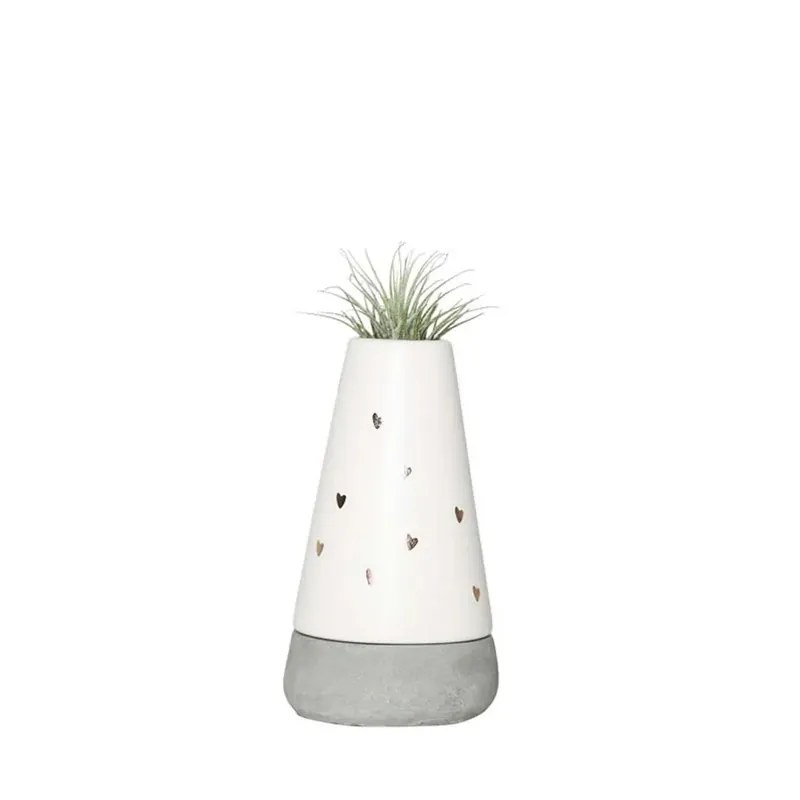 Tillandsiain Amore Vaso 6 cm