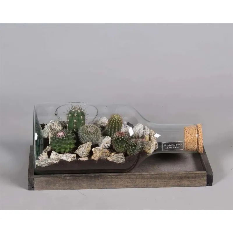 Cactus 7 Pezzi Vetro V48 cm