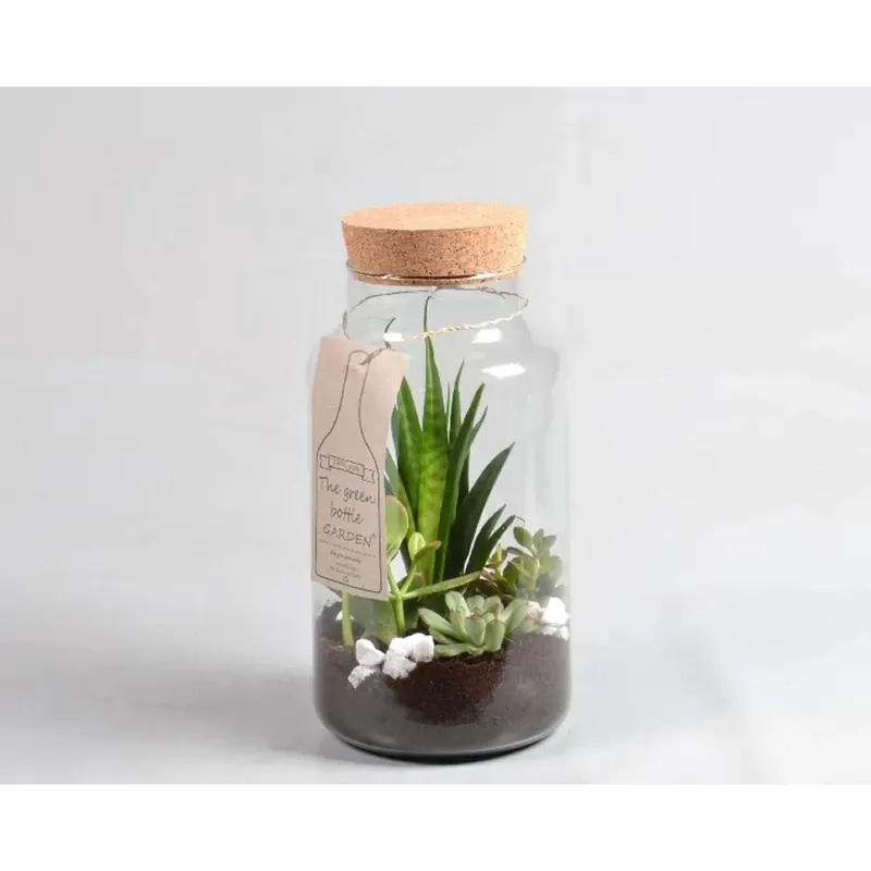 Composiz Bottigliap Te Vaso 29 cm