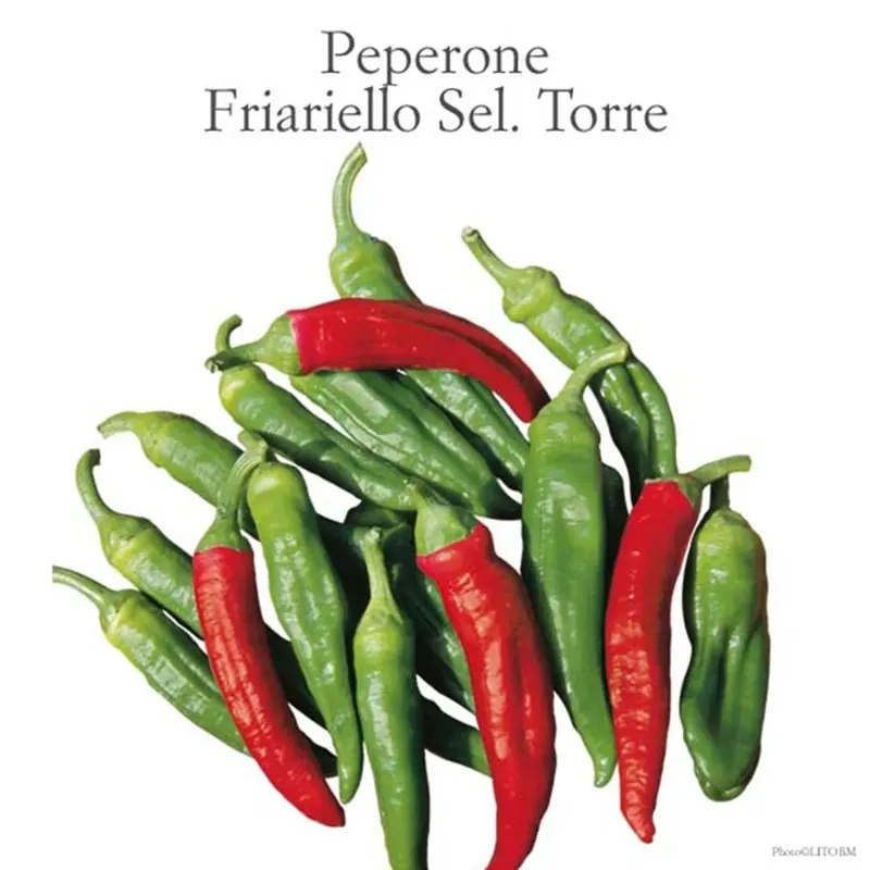 Peperone da friggere vaschetta 4 pz