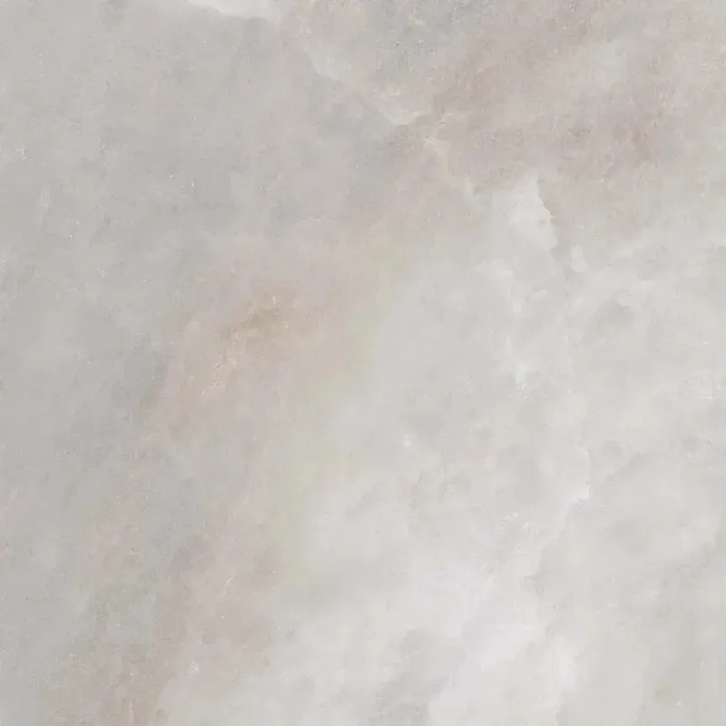 Piastrella in gres Salt Grey lucido 59,6x59,6 cm