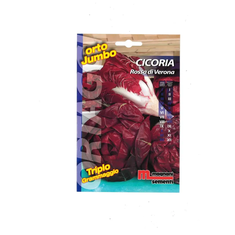 Semi orto Jumbo Cicoria Rossa di Verona