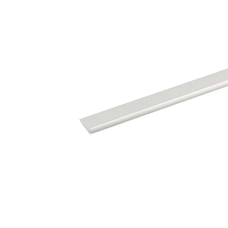 Profilo unghietta 1 m x 25 mm argento
