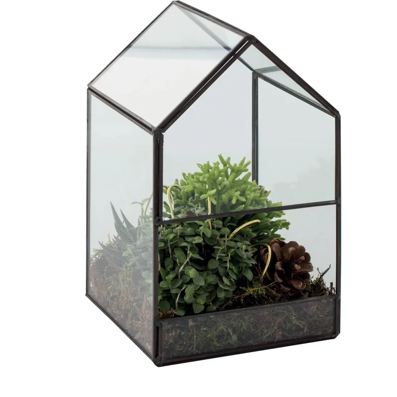 Composizione Terrarium in vetro large