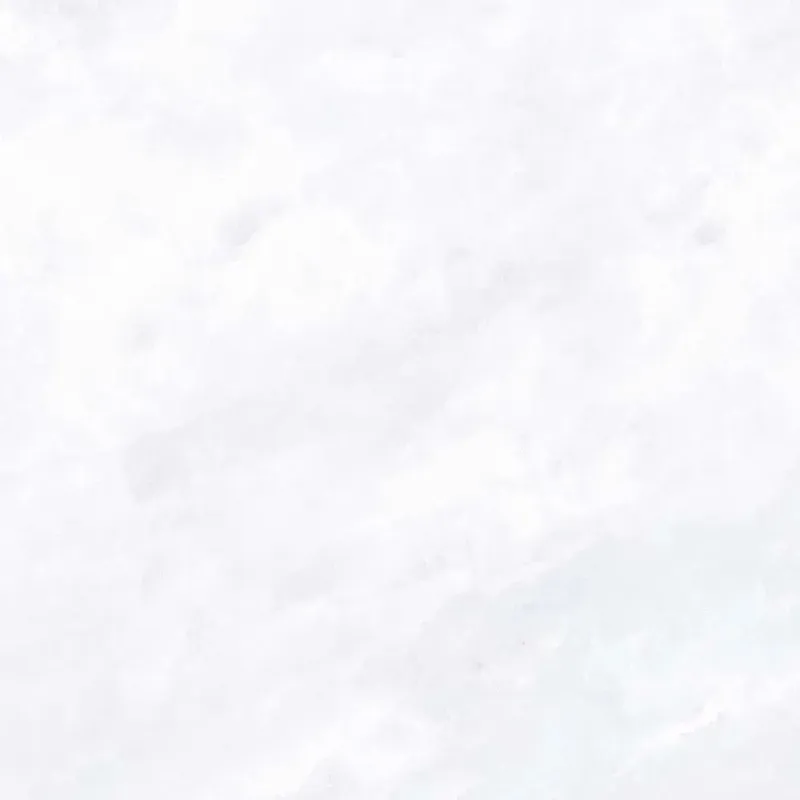 Piastrella in gres Salt White lucido 59,6x59,6 cm