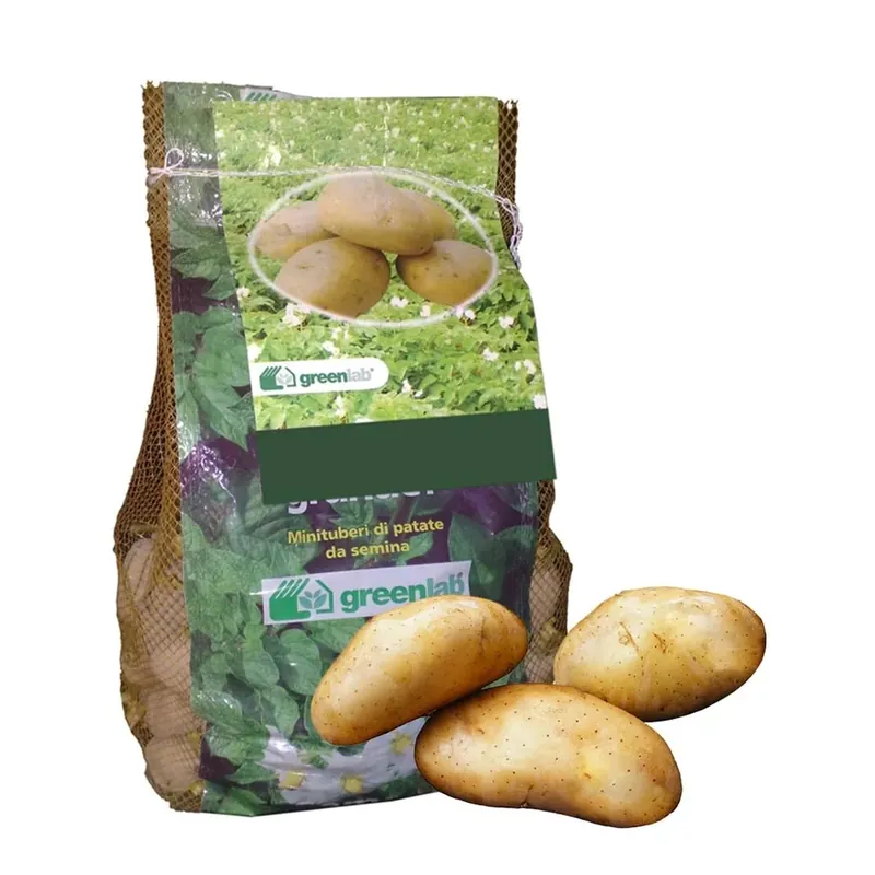 Sacco di patate Spunta 1,5 kg
