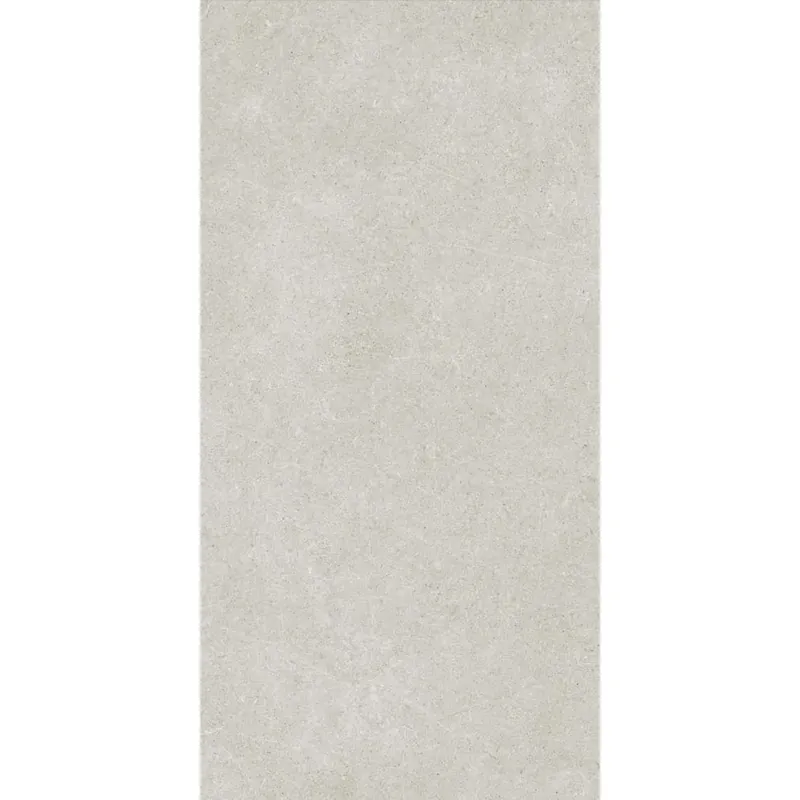 Piastrella in gres Easy Light Grey effetto pietra 60x120 cm