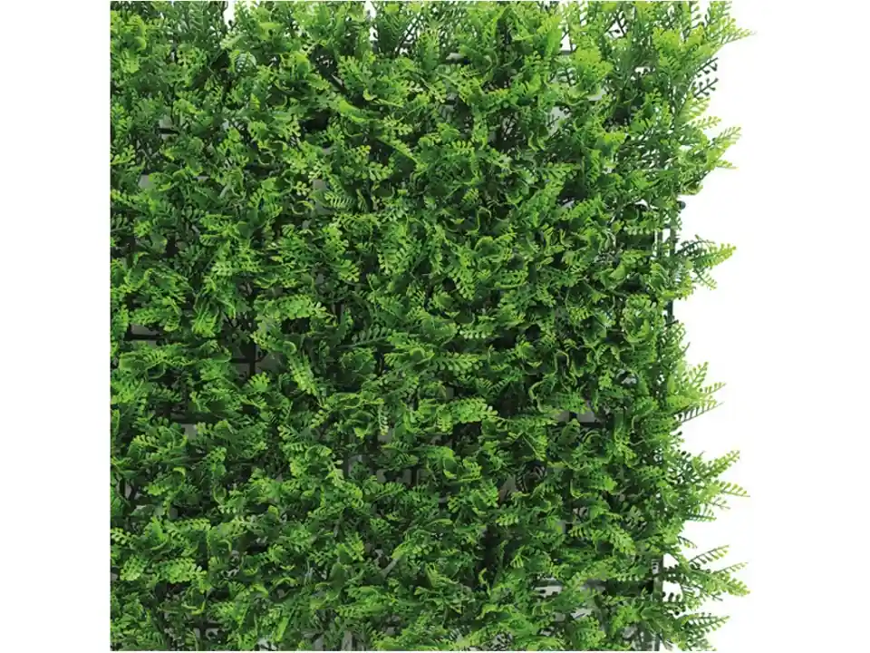 Felce, sempreverde verticale 1x1 m