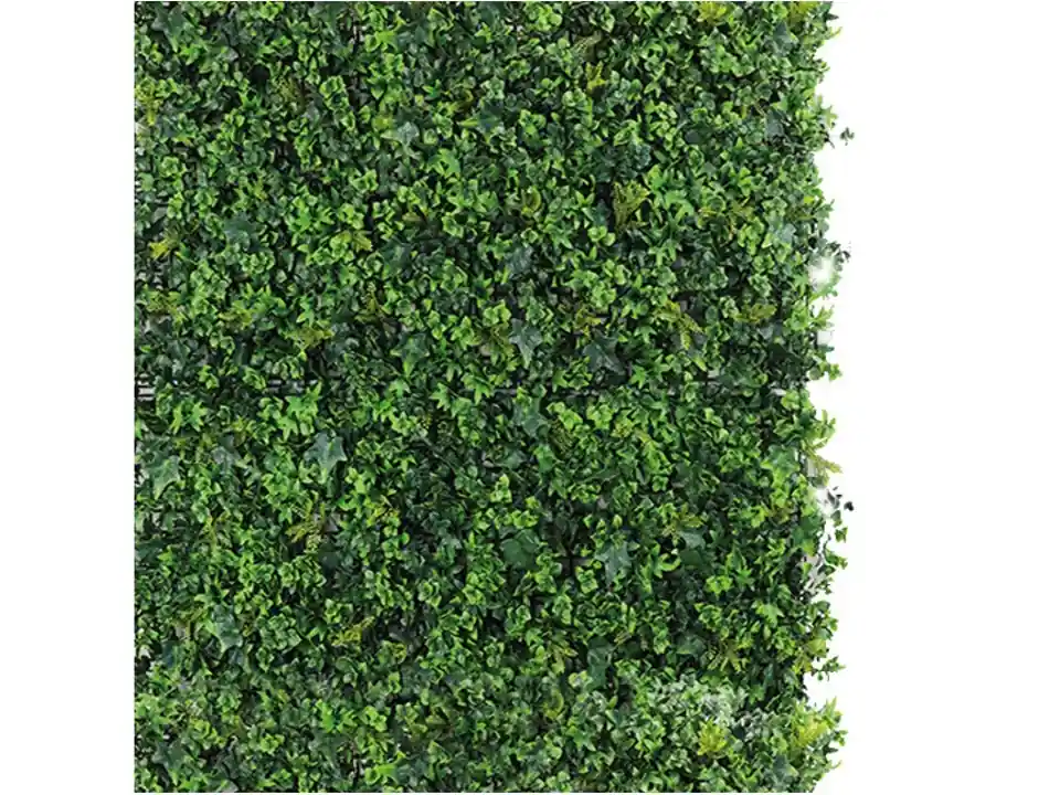 Irlanda, sempreverde verticale 1x1 m
