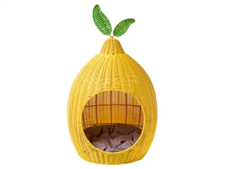Cuccia, limone