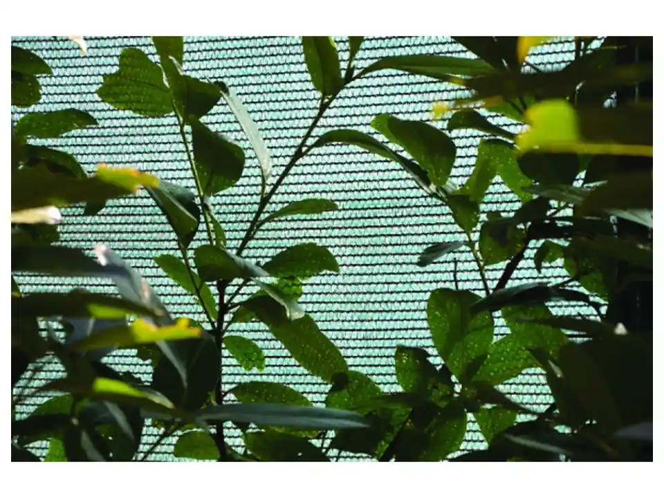 Rete tessuto ombra 70, 2x100 mt, verde