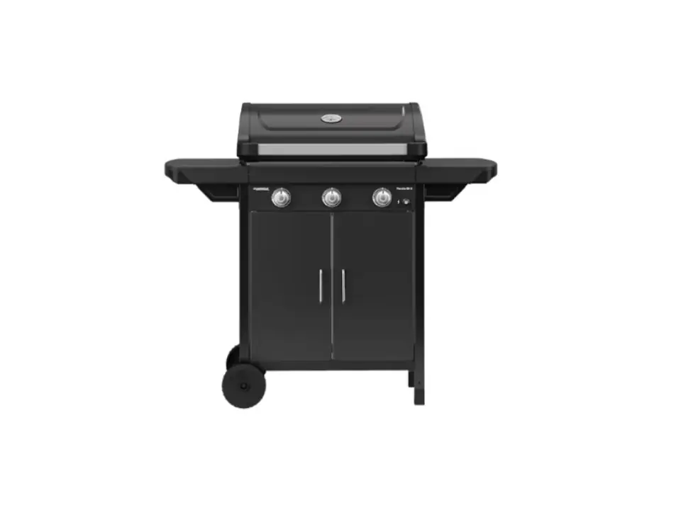 Plancha ex3