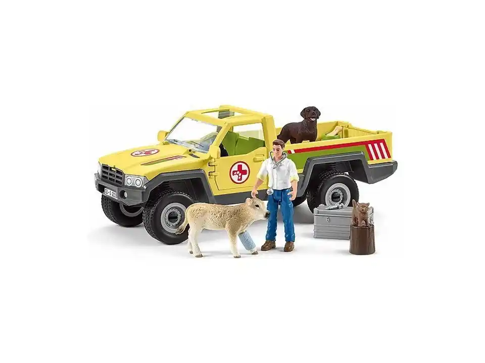 Pick up del veterinario