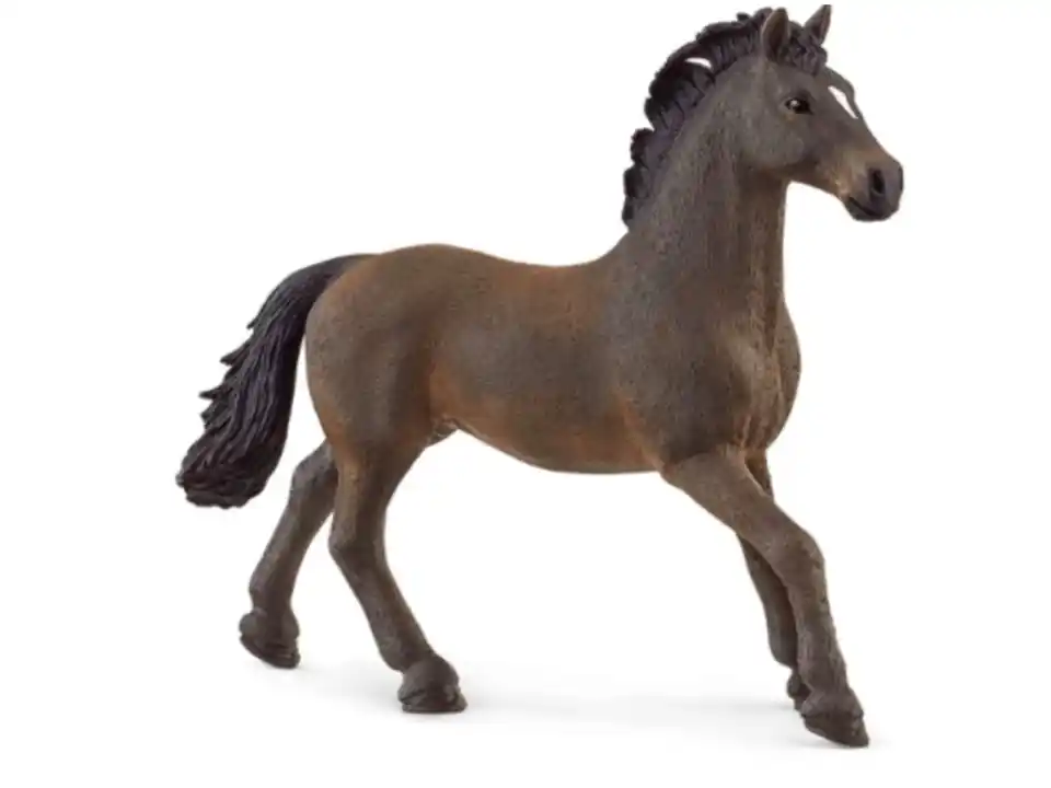 Oldenburger stallion