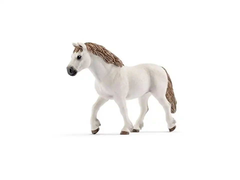 Giumenta welsh pony