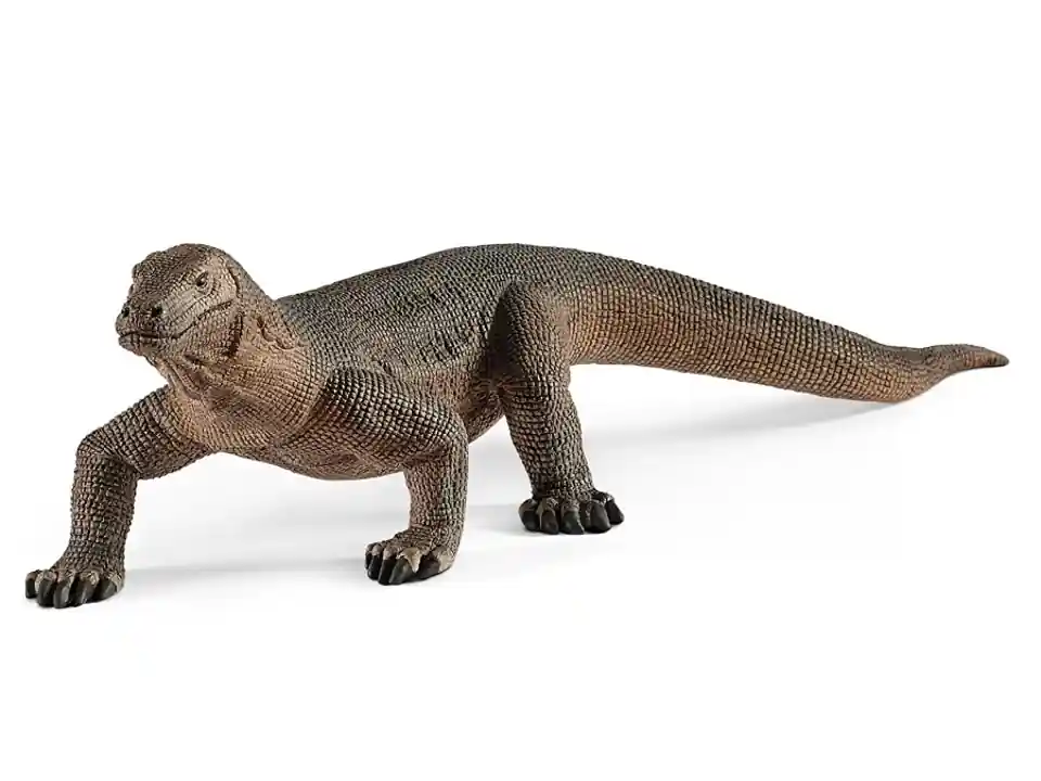 Drago di komodo